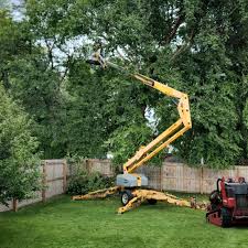 Best Lawn Renovation and Restoration  in Hoosick Falls, NY