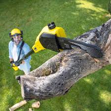Best Lawn Maintenance Plans  in Hoosick Falls, NY