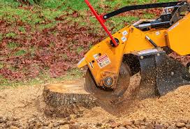 Best Root Management and Removal  in Hoosick Falls, NY