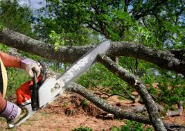 Best Utility Line Clearance  in Hoosick Falls, NY